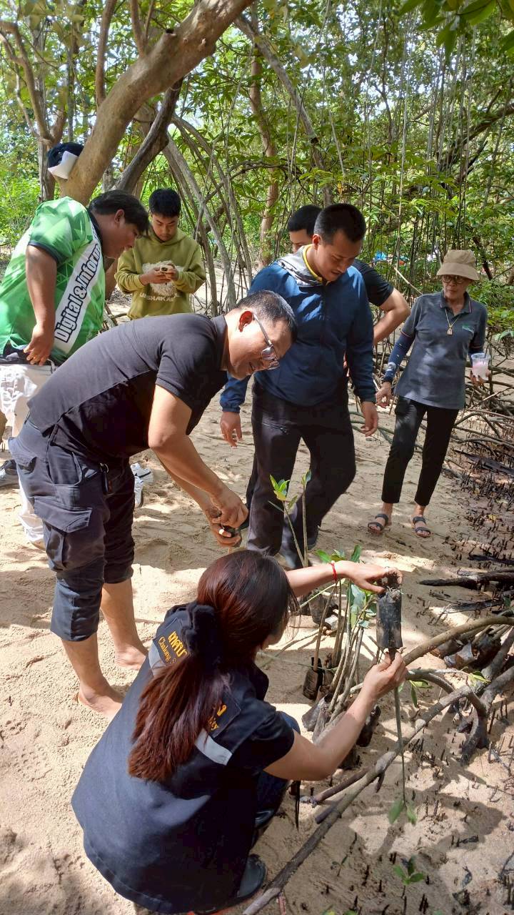 ภาพกิจกรรม